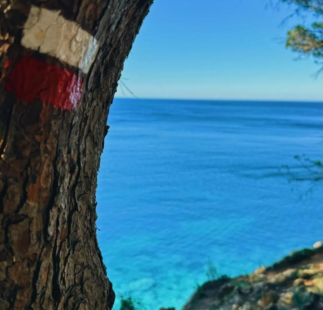 شقة Can Romy Appartement T3 E - A 20M De La Plage De Cala Montgo Torroella de Montgrí إسبانيا